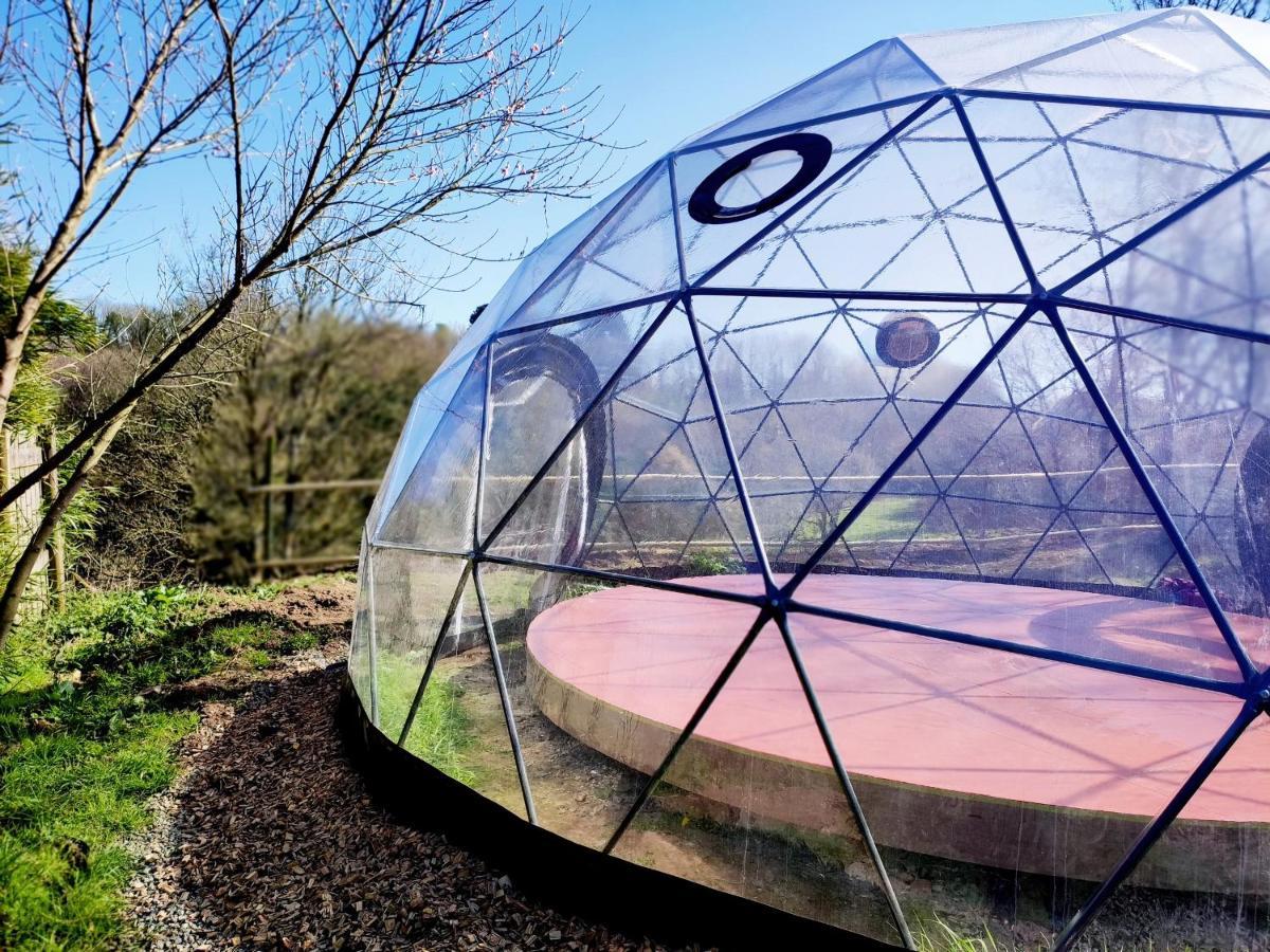 La Tisserande : Maison D'Hotes Creative & Ecologique サン・テゴネック エクステリア 写真