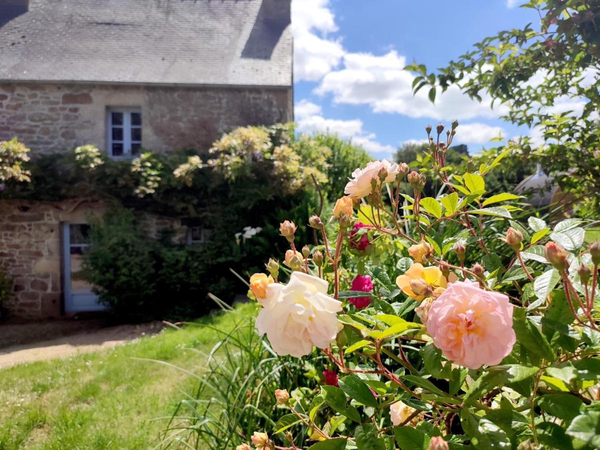 La Tisserande : Maison D'Hotes Creative & Ecologique サン・テゴネック エクステリア 写真